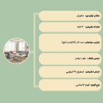 مبل ال چستر P